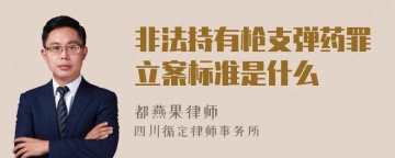 非法持有枪支弹药罪立案标准是什么