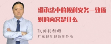 继承法中的权利义务一致原则的内容是什么