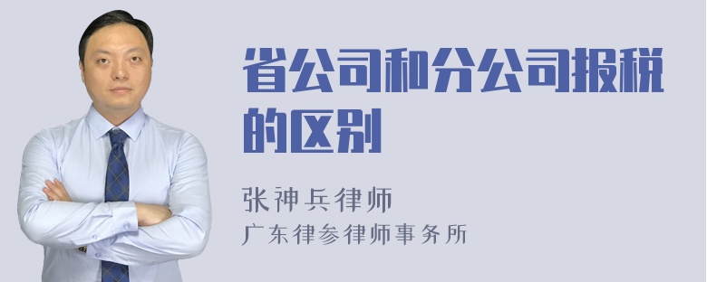 省公司和分公司报税的区别