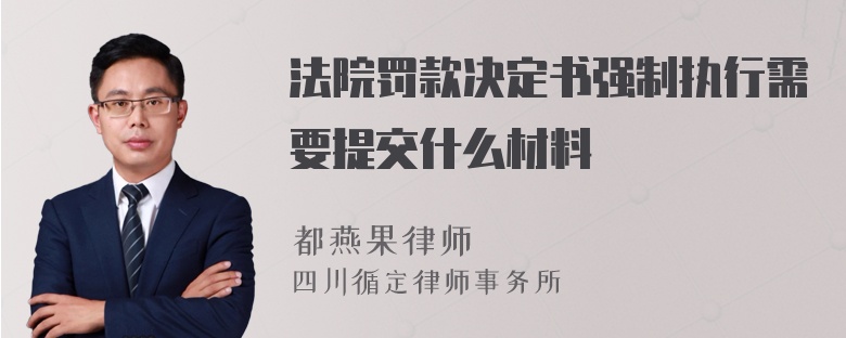 法院罚款决定书强制执行需要提交什么材料