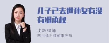 儿子已去世孙女有没有继承权