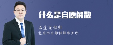 什么是自愿解散