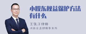 小股东权益保护方法有什么