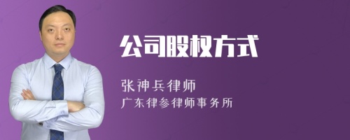 公司股权方式