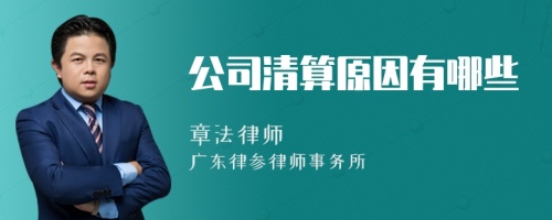 公司清算原因有哪些