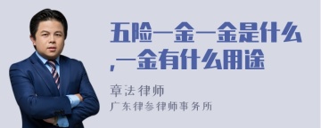 五险一金一金是什么,一金有什么用途