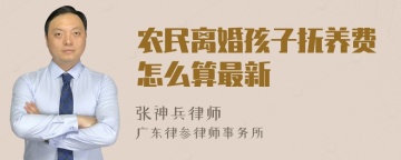 农民离婚孩子抚养费怎么算最新