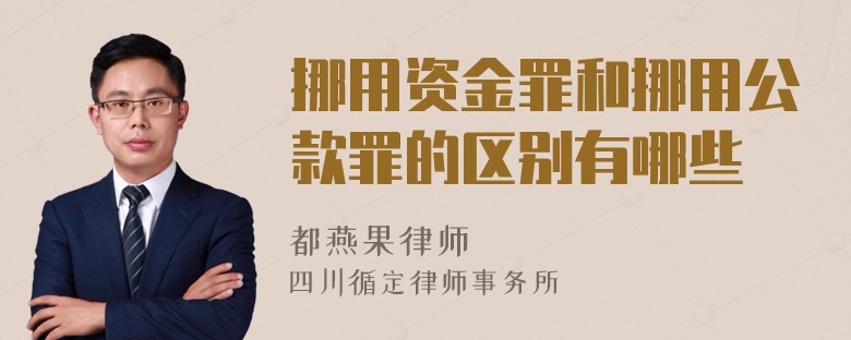 挪用资金罪和挪用公款罪的区别有哪些