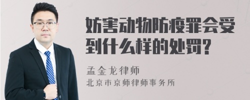 妨害动物防疫罪会受到什么样的处罚?