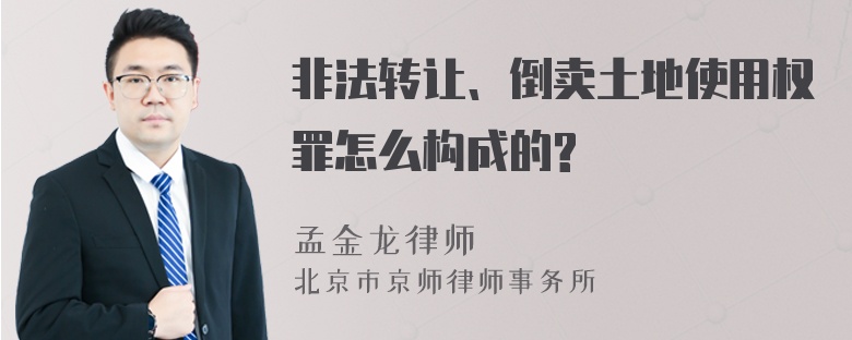 非法转让、倒卖土地使用权罪怎么构成的?