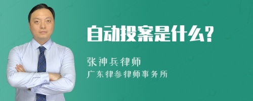 自动投案是什么?