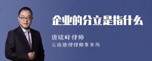 企业的分立是指什么