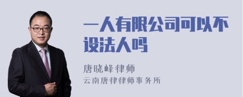 一人有限公司可以不设法人吗