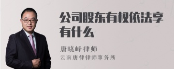 公司股东有权依法享有什么