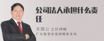 公司法人承担什么责任