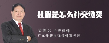 社保是怎么补交缴费