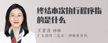 终结本次执行程序指的是什么