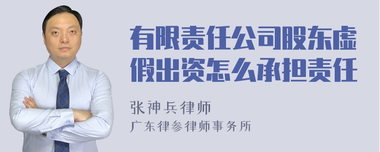 有限责任公司股东虚假出资怎么承担责任