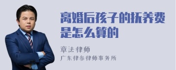 离婚后孩子的抚养费是怎么算的