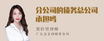 分公司的债务总公司承担吗