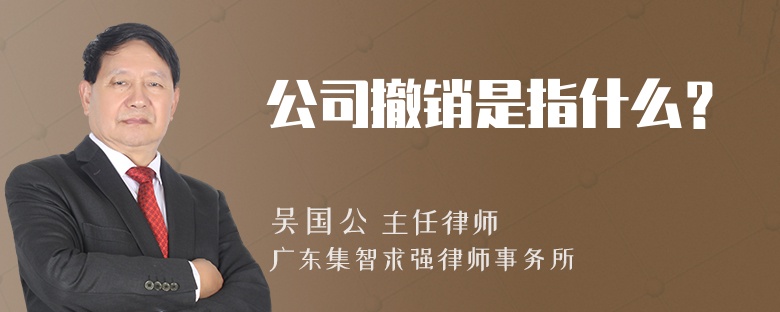 公司撤销是指什么？