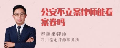 公安不立案律师能看案卷吗