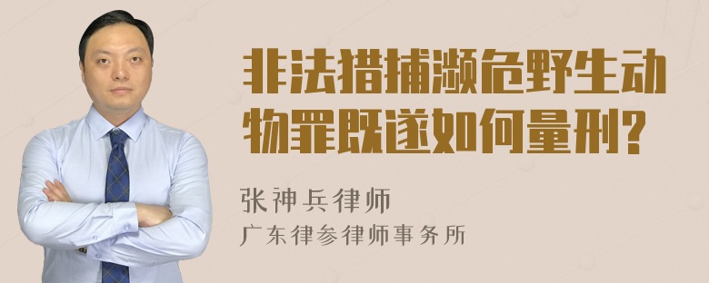 非法猎捕濒危野生动物罪既遂如何量刑?