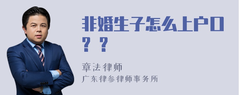 非婚生子怎么上户口? ?