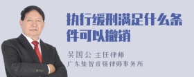 执行缓刑满足什么条件可以撤销