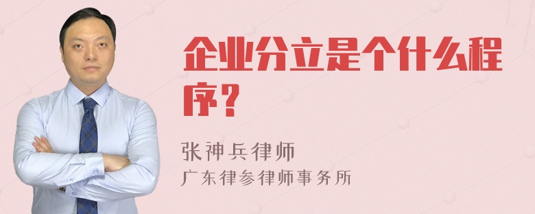 企业分立是个什么程序？