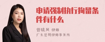 申请强制执行拘留条件有什么