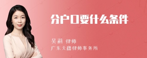 分户口要什么条件