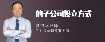 的子公司设立方式