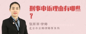 刑事申诉理由有哪些？