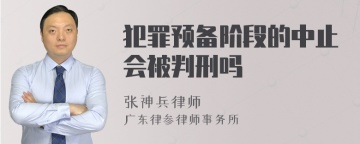 犯罪预备阶段的中止会被判刑吗