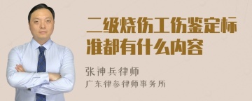 二级烧伤工伤鉴定标准都有什么内容