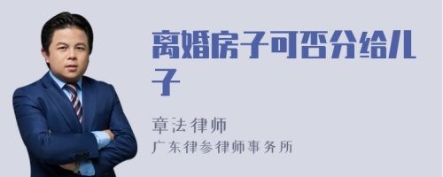 离婚房子可否分给儿子