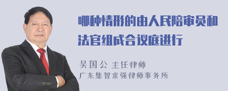 哪种情形的由人民陪审员和法官组成合议庭进行