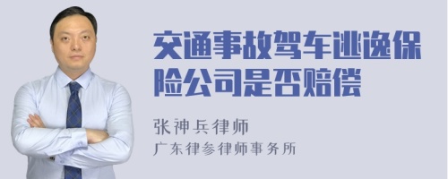 交通事故驾车逃逸保险公司是否赔偿