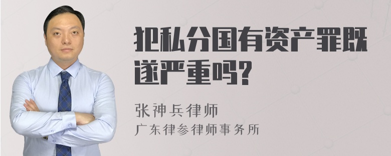 犯私分国有资产罪既遂严重吗?