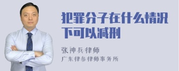 犯罪分子在什么情况下可以减刑