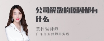 公司解散的原因都有什么