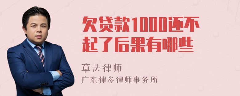 欠贷款1000还不起了后果有哪些