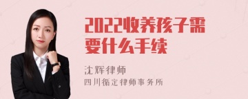 2022收养孩子需要什么手续