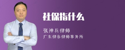 社保指什么