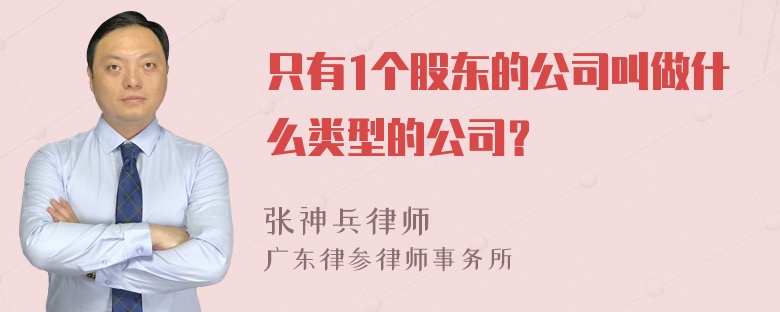 只有1个股东的公司叫做什么类型的公司？