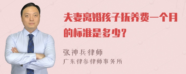 夫妻离婚孩子抚养费一个月的标准是多少？