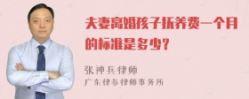 夫妻离婚孩子抚养费一个月的标准是多少？