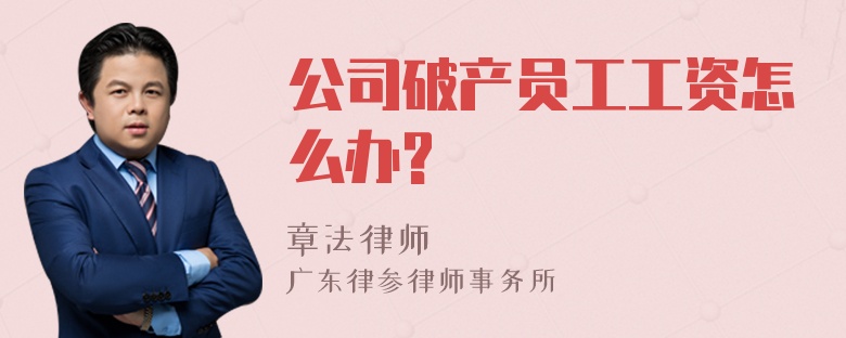 公司破产员工工资怎么办?