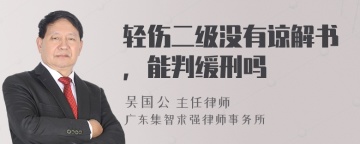 轻伤二级没有谅解书，能判缓刑吗